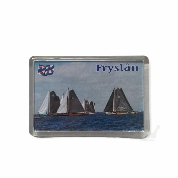 Fryslân spelden en magneten