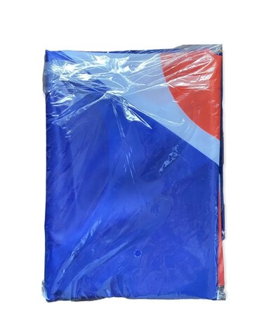 Fryske Vlag - 100 x 150 cm