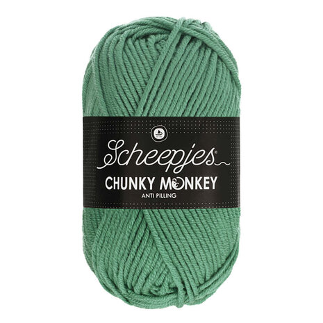 Scheepjes Chunky Monkey 100g - 1725 Eucalyptus - Groen