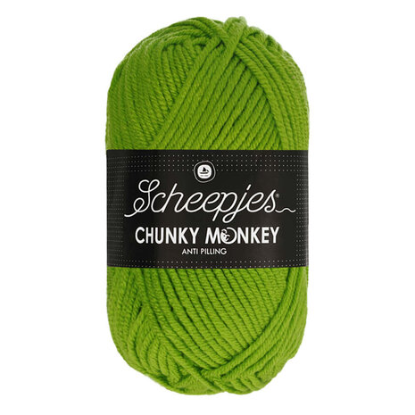 Scheepjes Chunky Monkey 100g - 2016 Fern - Groen