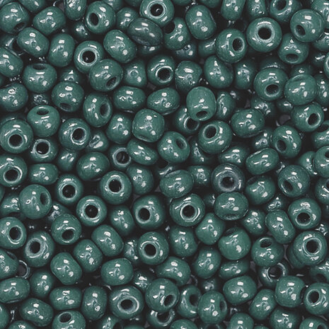 Boheemse rocailles &Oslash; 2,5 mm dennengroen