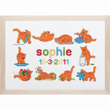 Borduurpakket telpatroon a&iuml;da Dikkie Dik Geboorte 60 x 43 cm