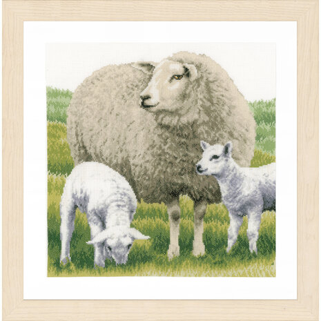 Lanarte Borduurpakket telpatroon Schapen ca. 35 x 35 cm