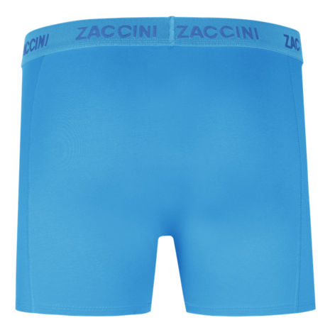 Zaccini Heren Boxershort Blue Tonal Band