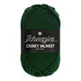 Scheepjes Chunky Monkey 100g - 1009 Pine - Groen