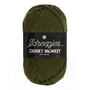 Scheepjes Chunky Monkey 100g - 1027 Moss Green - Groen