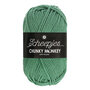 Scheepjes Chunky Monkey 100g - 1725 Eucalyptus - Groen