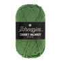 Scheepjes Chunky Monkey 100g - 1824 Pickle - Groen