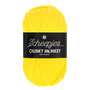 Scheepjes Chunky Monkey 100g - 2008 Yellow - Geel