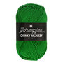 Scheepjes Chunky Monkey 100g - 2014 Emerald - Groen