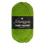 Scheepjes Chunky Monkey 100g - 2016 Fern - Groen