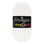 Scheepjes Colour Crafter - 1001 Weert