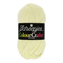 Scheepjes Colour Crafter - 1020 Leiden