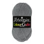 Scheepjes Colour Crafter - 1099 Wolvega