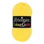 Scheepjes Colour Crafter - 1263 Leerdam