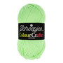 Scheepjes Colour Crafter - 1316 Almelo