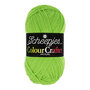 Scheepjes Colour Crafter - 1821 Terneuzen