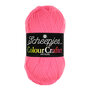 Scheepjes Colour Crafter - 2013 Mechelen