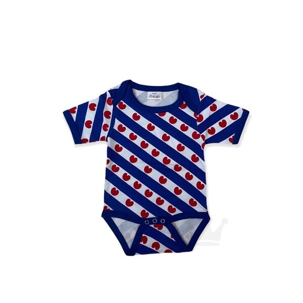 Babyrompertje Fryslân
