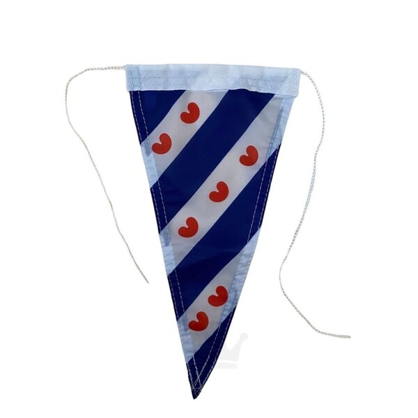 Punt Vlaggetje Fryslân 8x12 cm