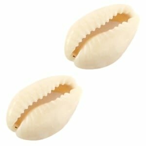 Kauri schelpen Ivoor-beige 10 stuks