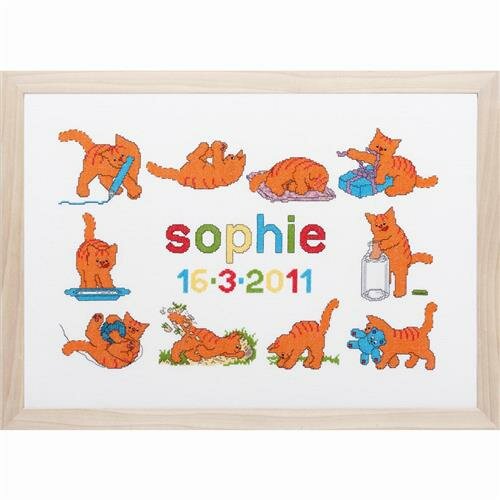 Borduurpakket telpatroon aïda Dikkie Dik Geboorte 60 x 43 cm